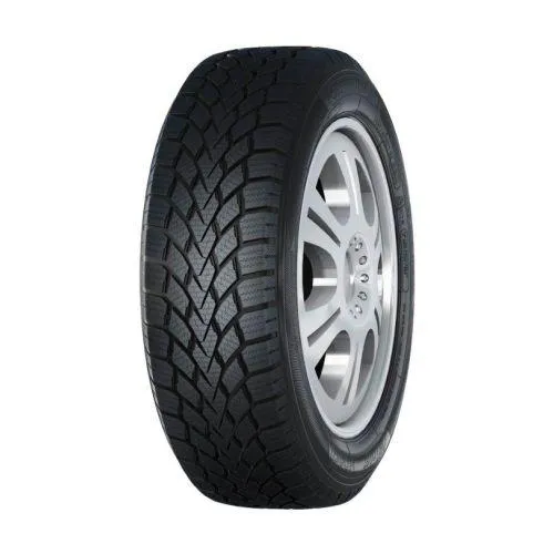 Haida Winter HD617